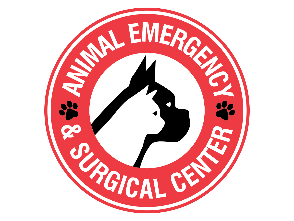 Animal Emergency and Surgery Center